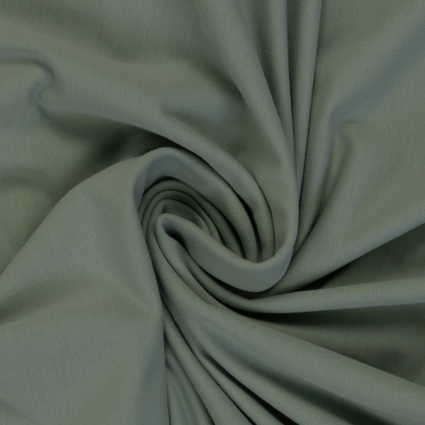 Baumwolljersey Vanessa von Swafing Altmint 265