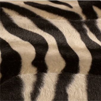 Fellimitat ANIMAL Velour Zebra