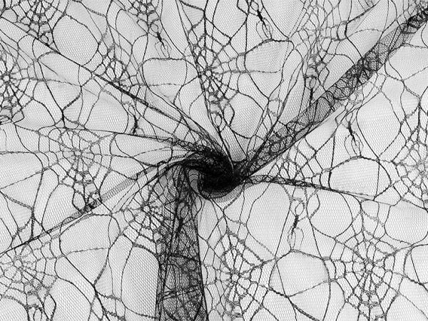 Feiner Tüll mit Spinnennetzmuster-Schwarz