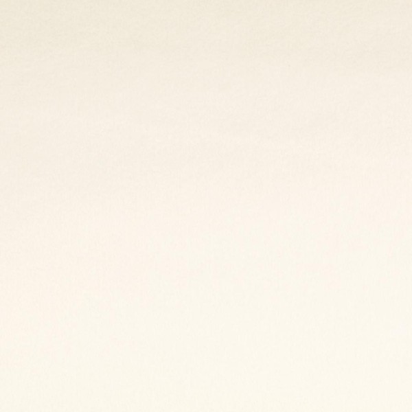 5,0 mm Filz-CARSTEN-22 cm x 25 cm Platten-Natur