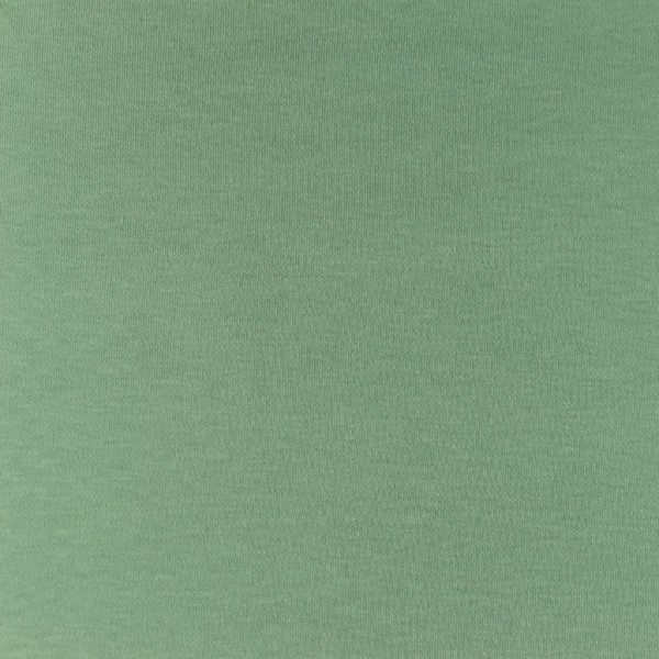 Interlock-Jersey-Iris-Altgrün