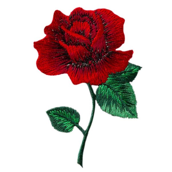 Rose, rot