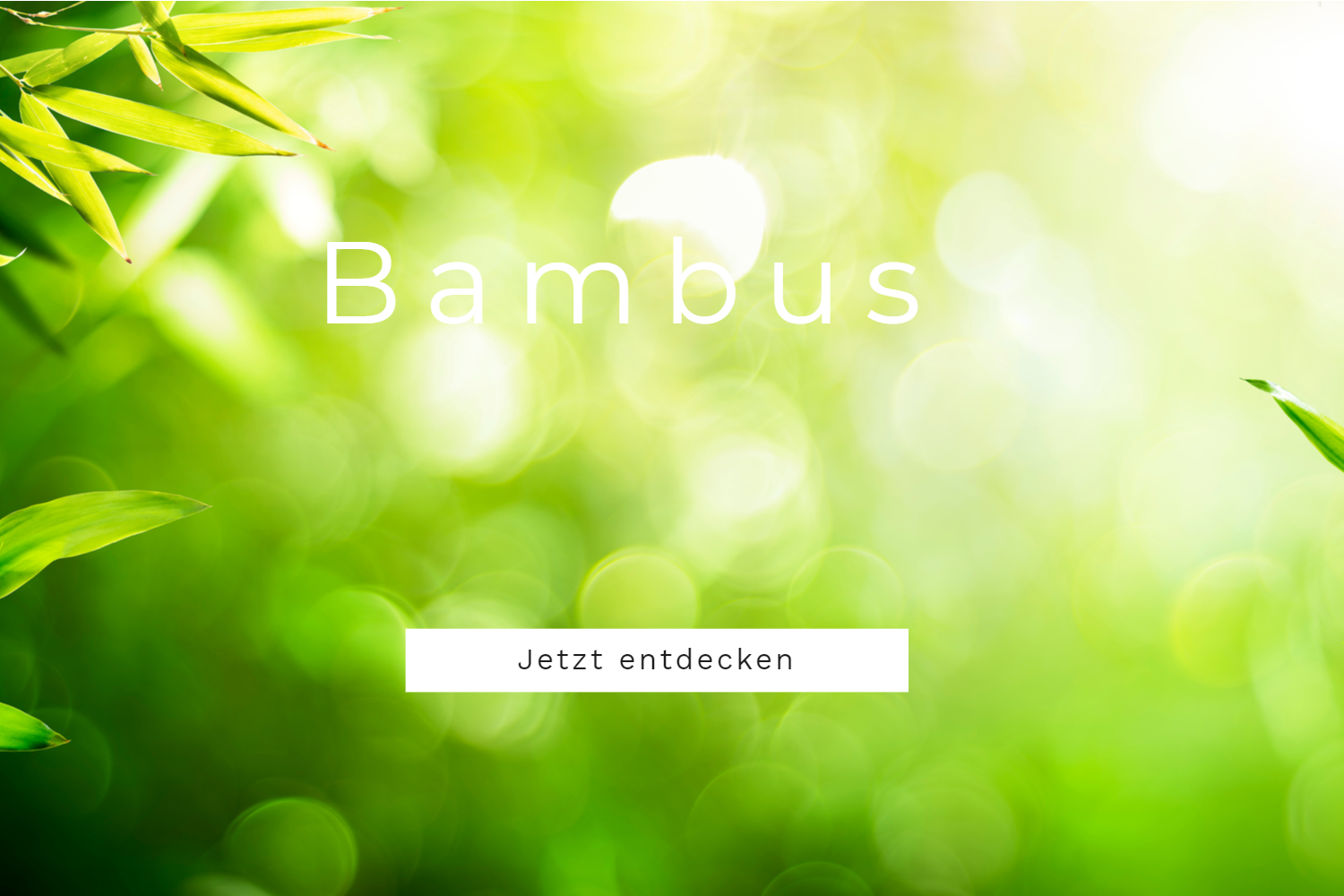 Bambus